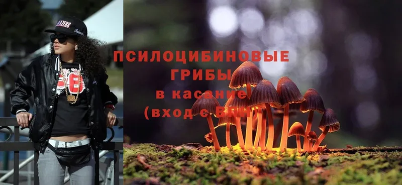 дарк нет состав  Жуковка  Галлюциногенные грибы Psilocybe  купить наркоту 